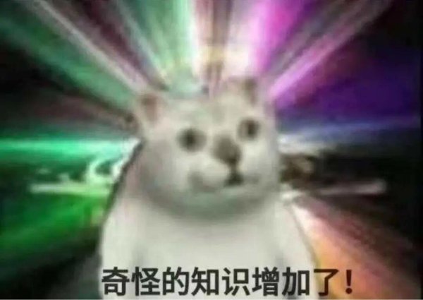 炒股10倍杠杆软件 永生龙虾流浪鹦鹉把李子洗成透明色......这一年，我都在“把科”看了什么啊！